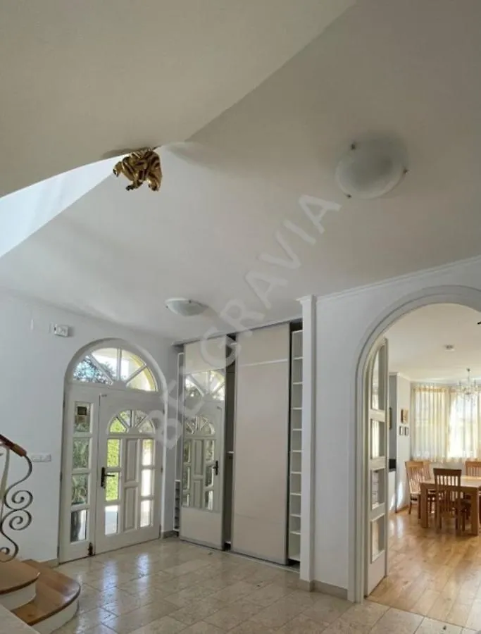 Villa Belgravia Pula